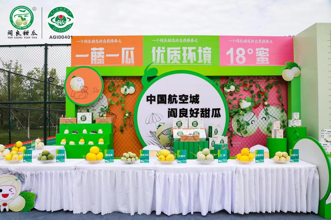 阎良农检中心圆满完成2023年甜瓜节甜瓜展示工作